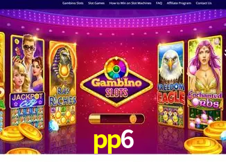 pp6 Rio de Janeiro - Bonus Terms